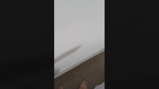 dradvbsexy  16-06-2022
